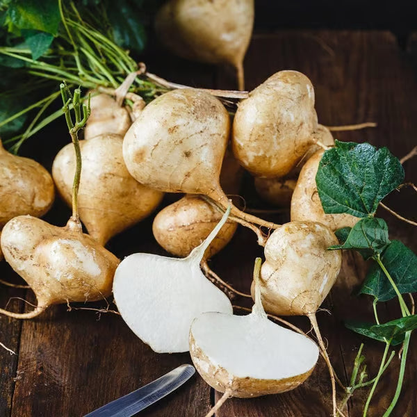 MUMA MOUNTAIN SWEET POTATO SEEDS | 🔥Buy 1 Get 1 Free🔥