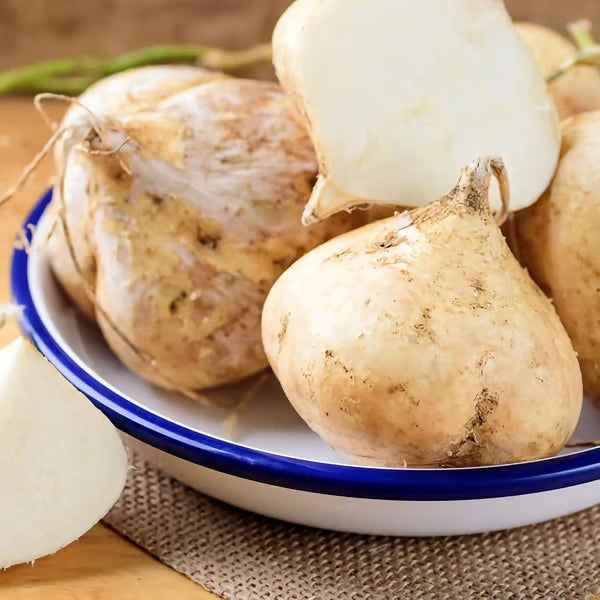 MUMA MOUNTAIN SWEET POTATO SEEDS | 🔥Buy 1 Get 1 Free🔥