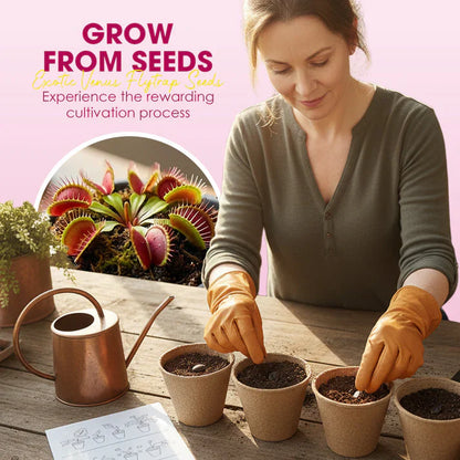 🌱【Amazing Venus Flytrap Seeds】—Grow Your Own Mini Carnivorous Monster!😱🌿🔥Buy 1 Get 1 Free🔥
