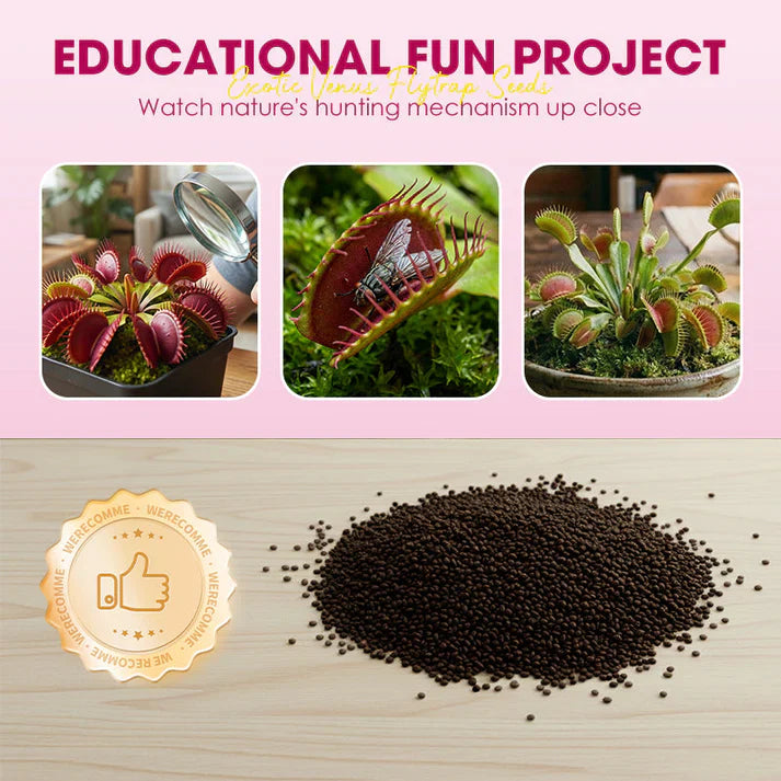 🌱【Amazing Venus Flytrap Seeds】—Grow Your Own Mini Carnivorous Monster!😱🌿🔥Buy 1 Get 1 Free🔥